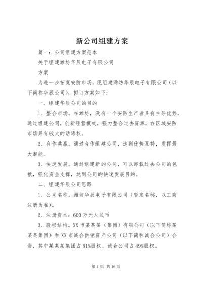 新公司组建方案.docx