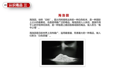 珍爱生命世界禁毒日PPT