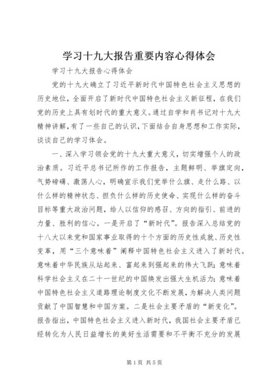 学习十九大报告重要内容心得体会 (4).docx