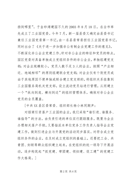 工业园非公有制企业党建工作纪实.docx