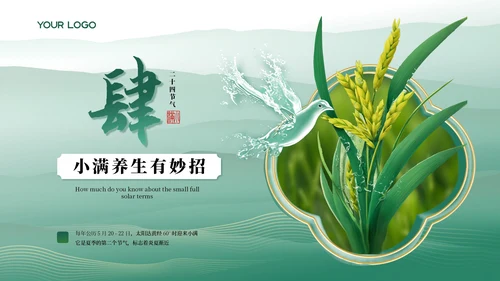 小满中国风教育教学通用模板PPT模板
