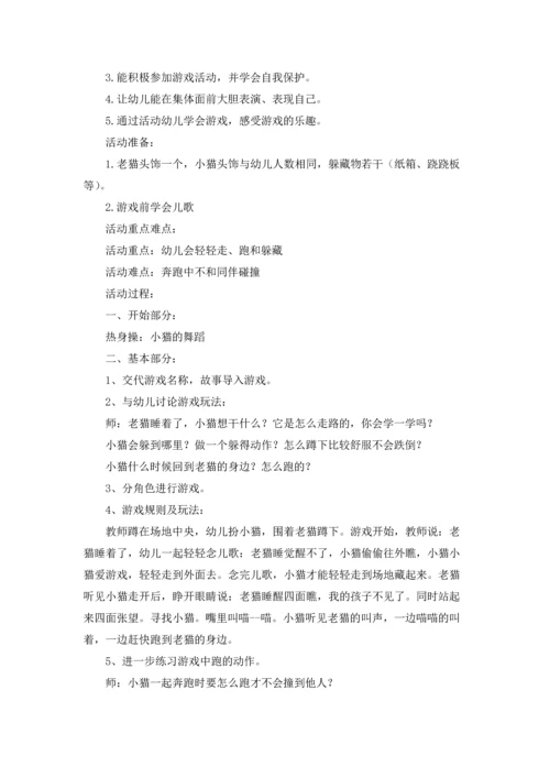 有关猫教案集锦6篇.docx