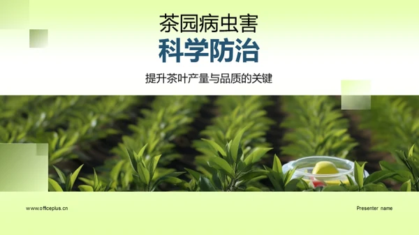 茶园病虫害科学防治