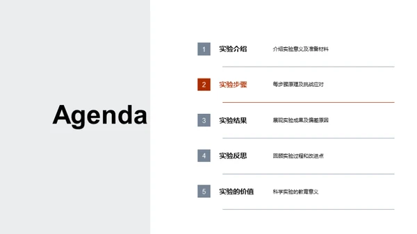 实验探究之旅