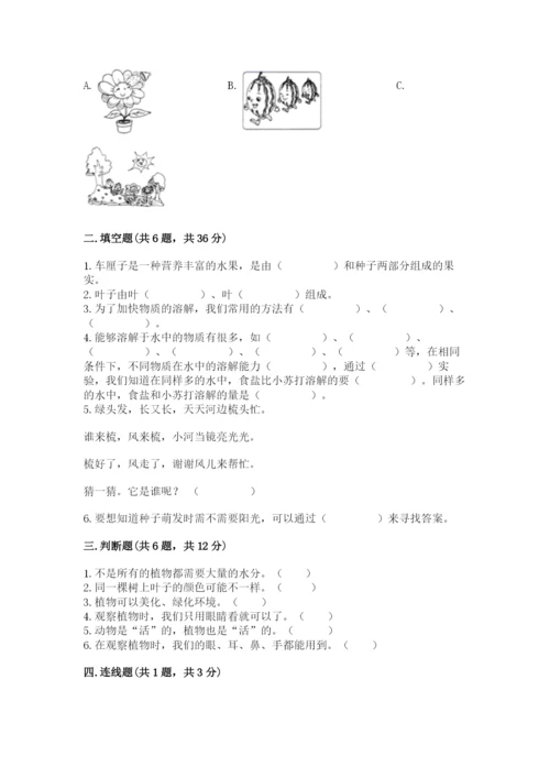 教科版科学一年级上册第一单元《植物》测试卷1套.docx