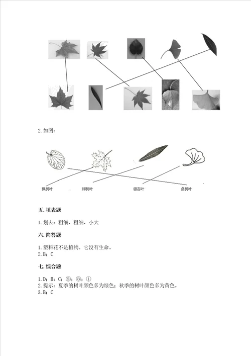 教科版科学一年级上册第一单元植物测试卷精品