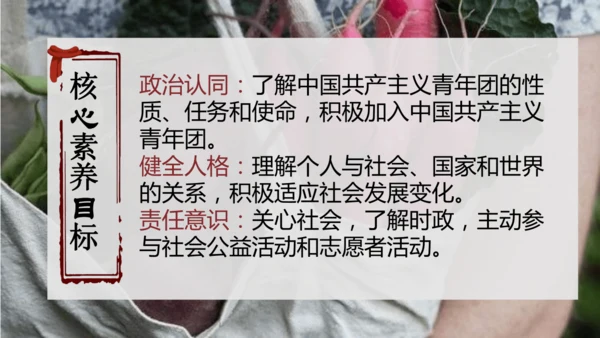 第三单元《勇担社会责任》复习课件(共28张PPT)