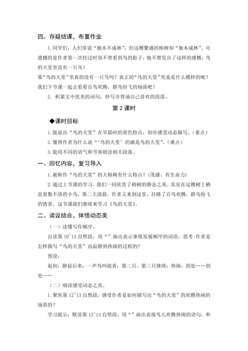 2024年秋五年级上册 23 鸟的天堂（教案与教学反思）