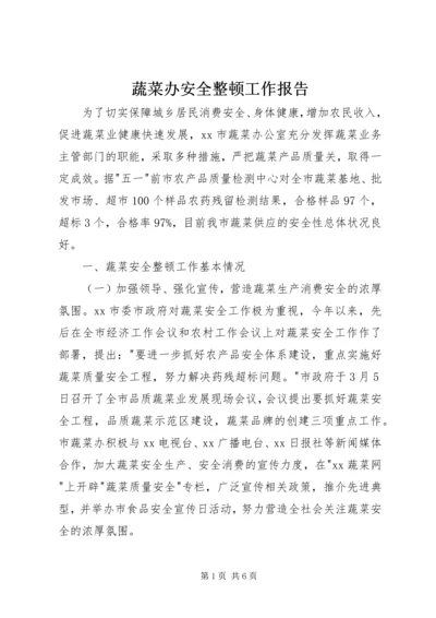 蔬菜办安全整顿工作报告.docx