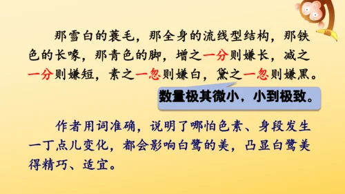 1 白鹭   课件