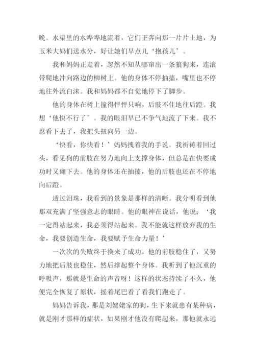 什么留在我的记忆中作文.docx