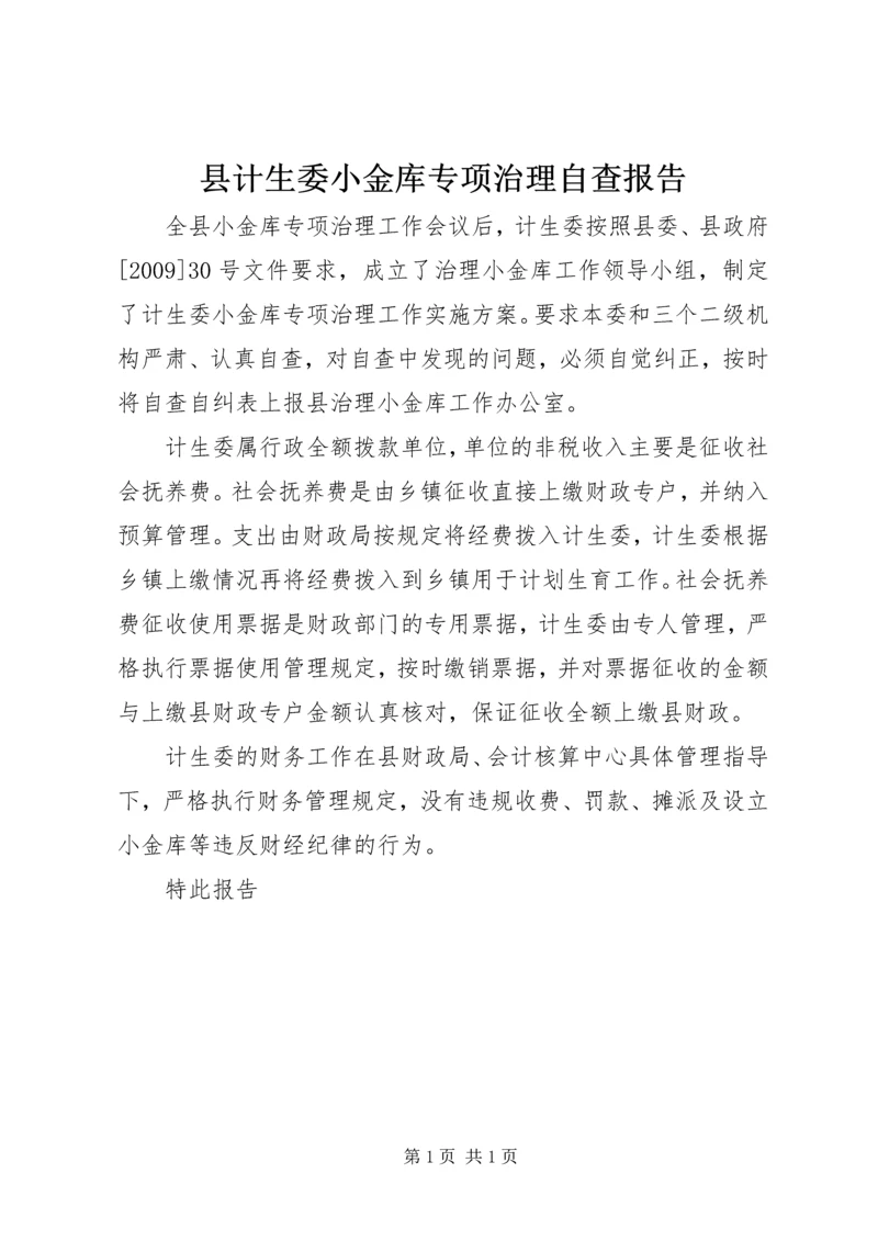 县计生委小金库专项治理自查报告.docx