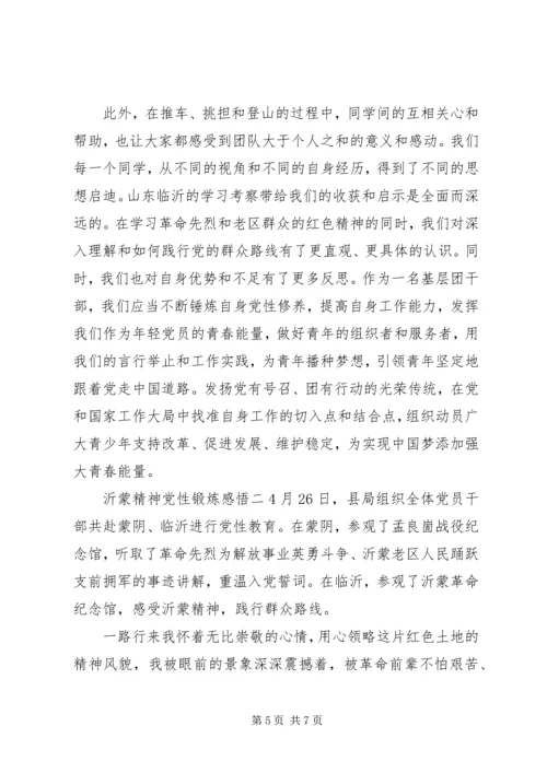 沂蒙精神党性锻炼感悟.docx