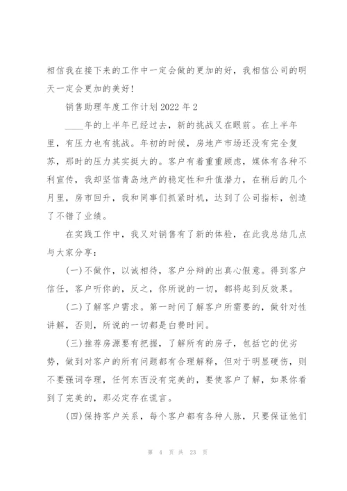 销售助理年度工作计划2022年5篇.docx