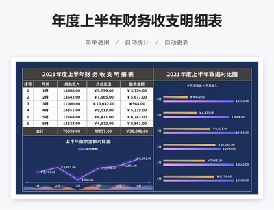 年度上半年财务收支明细表
