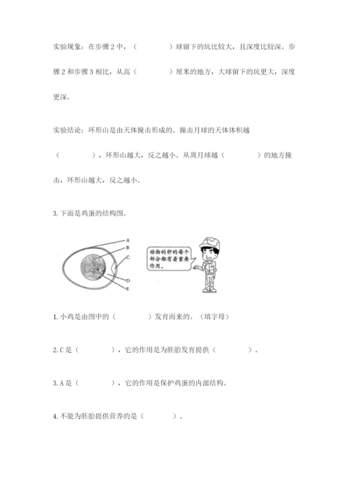 教科版科学三年级下册期末测试卷精品（典优）.docx