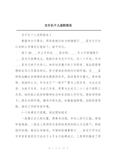 支行长个人述职报告.docx