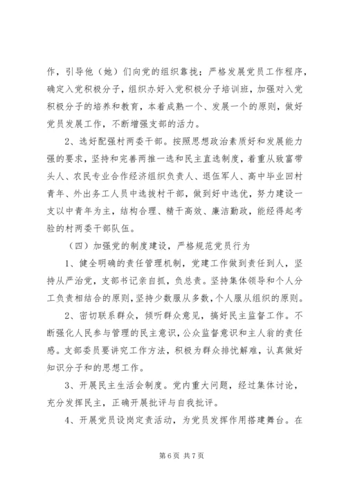 村党总支XX年度工作计划.docx