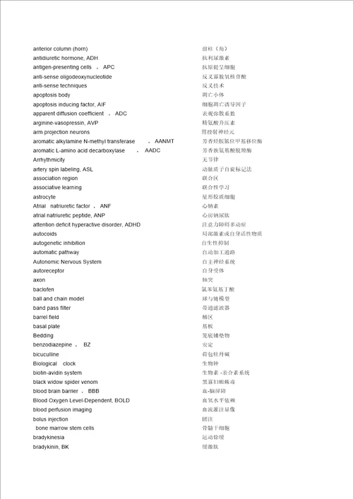 神经科学中英文词汇