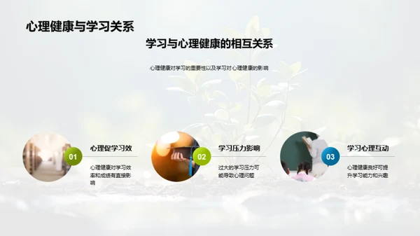 教育引领心理健康