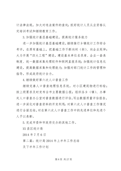 统计局XX年上半年工作总结及下半年工作计划 (2).docx