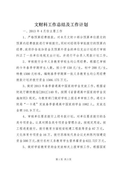 文财科工作总结及工作计划.docx