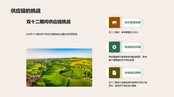 双十二农产品供应链探析