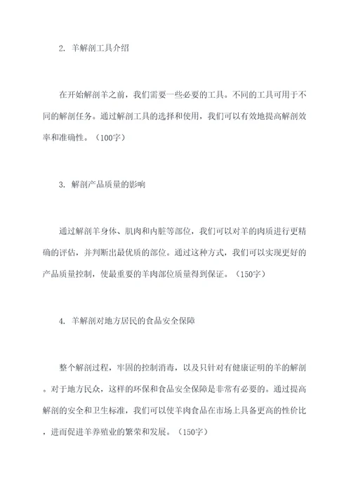 解剖羊的提纲