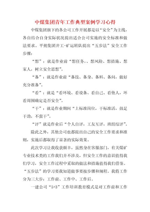 中煤集团青年工作典型案例学习心得