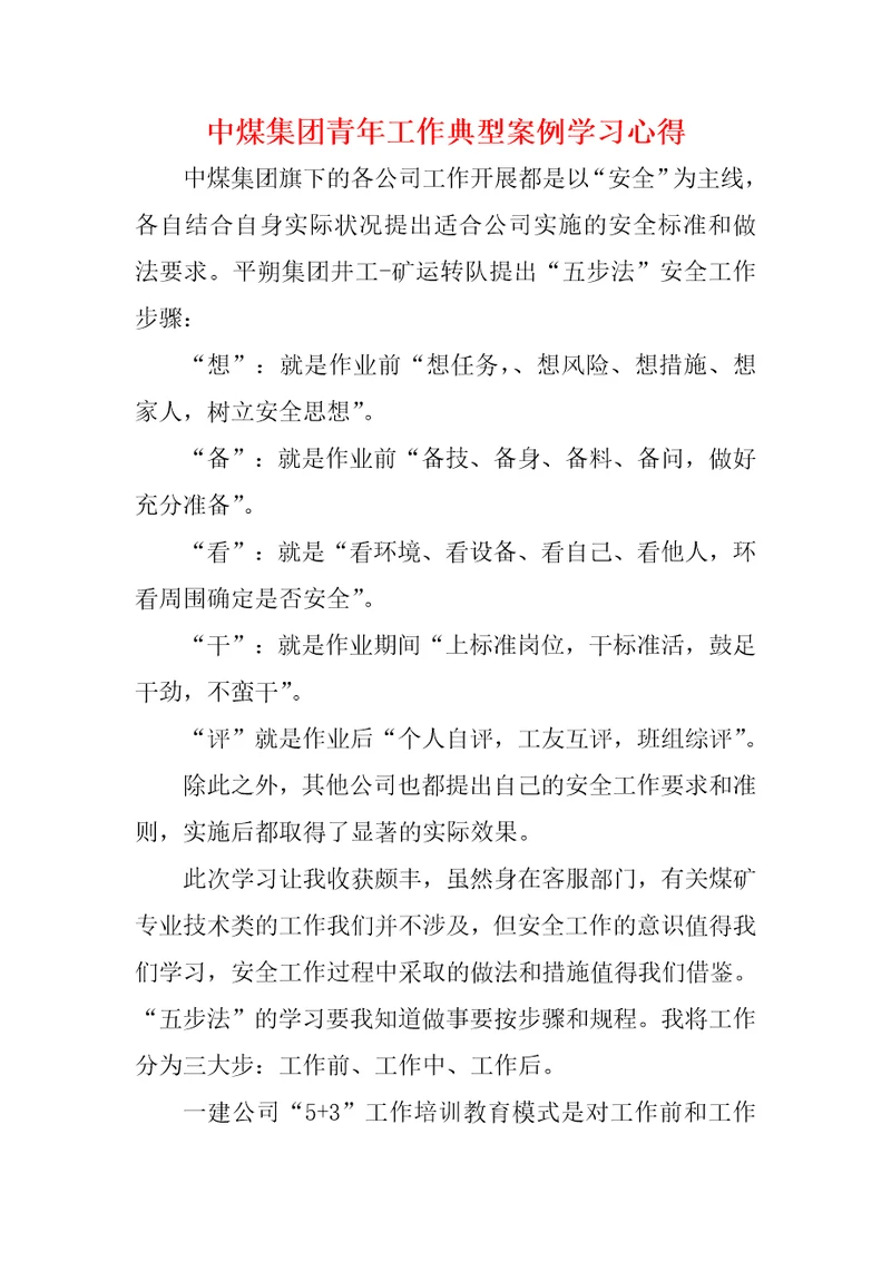 中煤集团青年工作典型案例学习心得