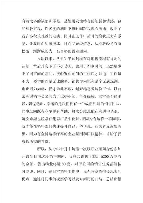 2022年置业顾问终总结