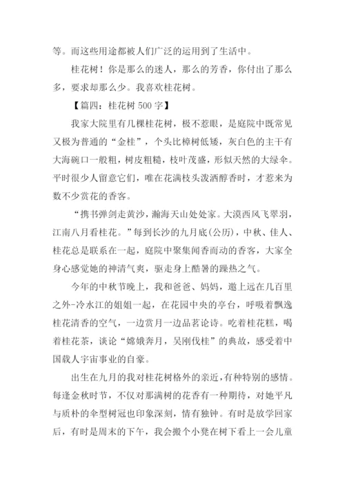 描写桂花树的文章.docx