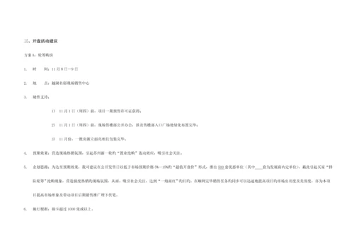 房地产专项项目执行专题方案.docx