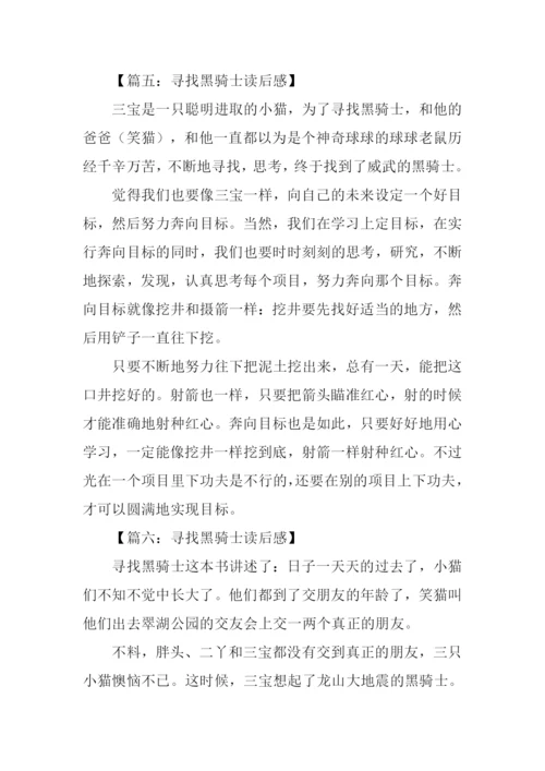 寻找黑骑士读后感300字.docx