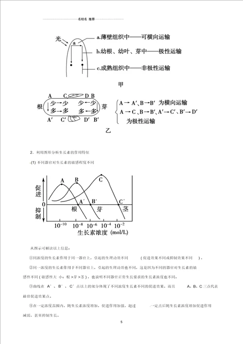 高三生物总复习植物的激素调节名师精选教案