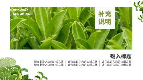 茶叶茶庄春茶产品上新介绍手册通用PPT模板