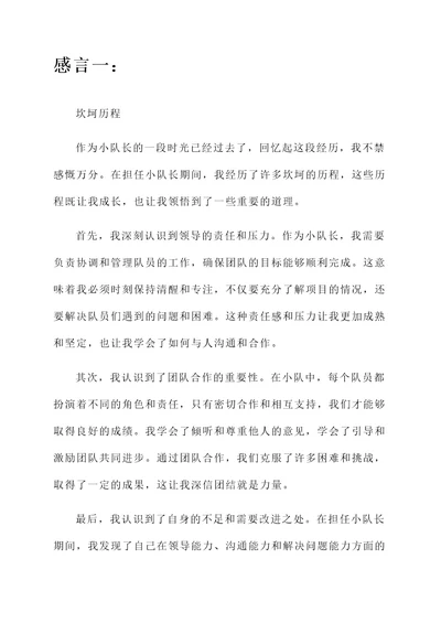 不做小队长后的感言