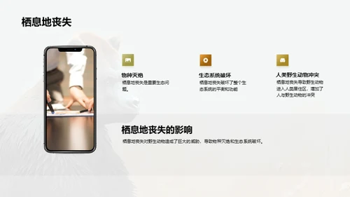 简约风其他行业教学课件PPT模板