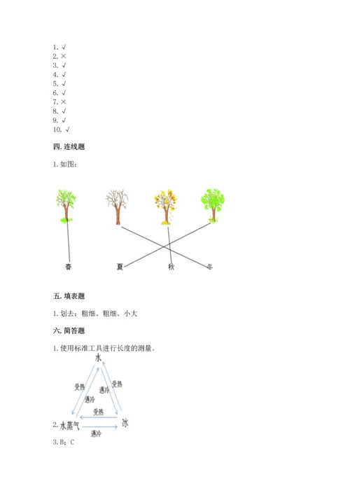 教科版科学一年级上册期末测试卷及完整答案（夺冠系列）.docx