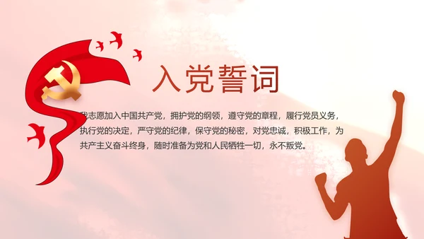 红领巾心向党少先队员风采展示PPT