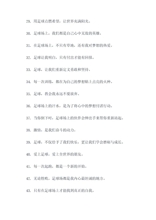 最感动的足球广告语