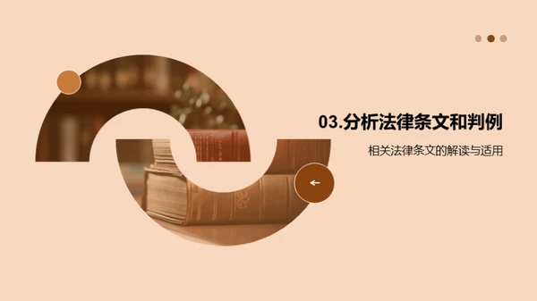 法律案例分析
