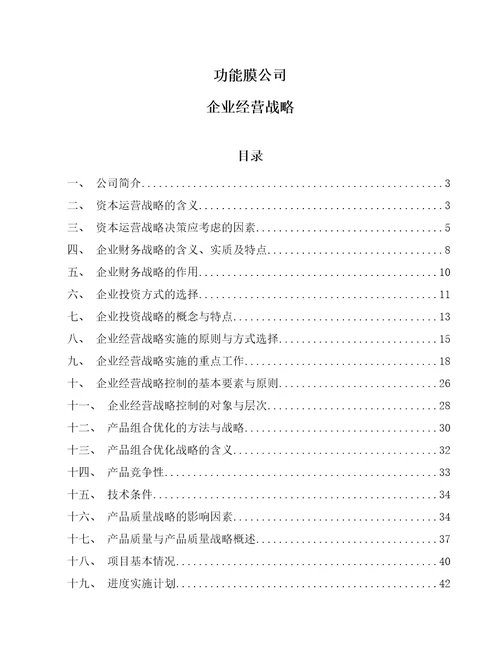 功能膜公司企业经营战略范文