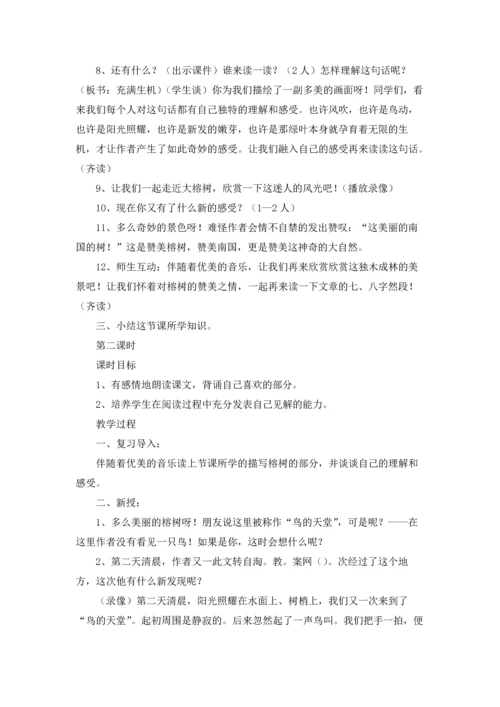 有关鸟的天堂教案8篇.docx