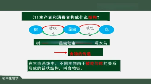 1.2.2 生物与环境组成生态系统 课件（共25张PPT）