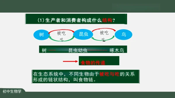 1.2.2 生物与环境组成生态系统 课件（共25张PPT）