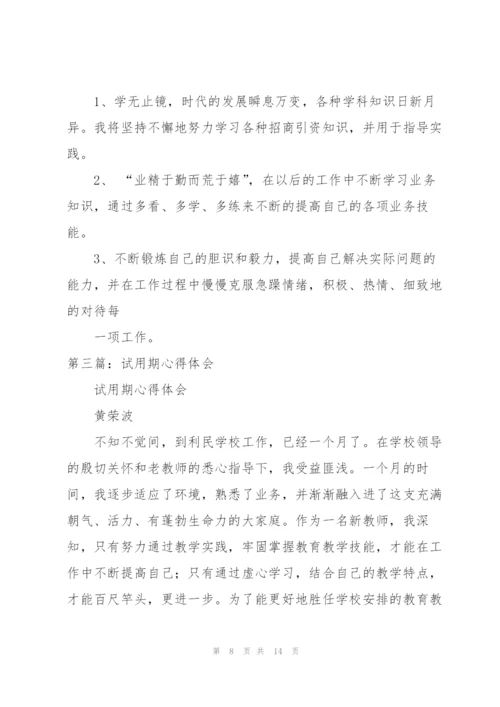 试用期心得体会（5篇）.docx