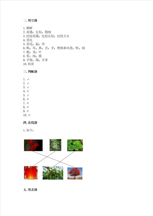 教科版科学一年级上册期末测试卷完整版word版