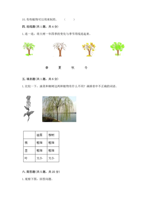 教科版一年级上册科学期末测试卷附参考答案（模拟题）.docx