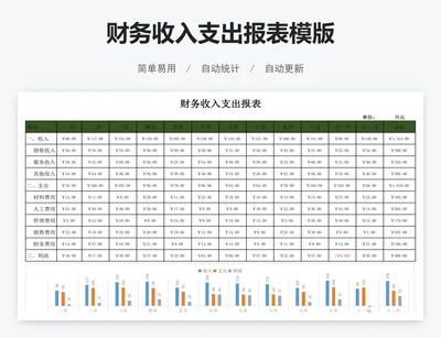 财务收入支出报表模版